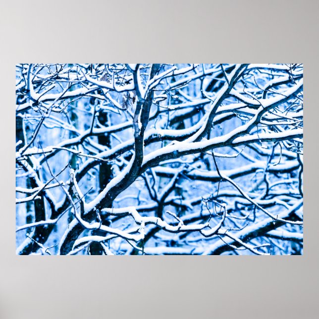 Jultidsskog Poster (Framsidan)