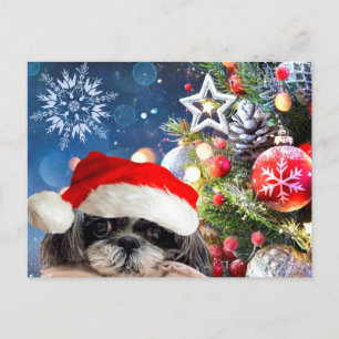 jultomte Shih Tzu-vykort Helg Vykort