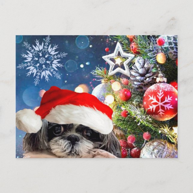 jultomte Shih Tzu-vykort Helg Vykort (Framsida)