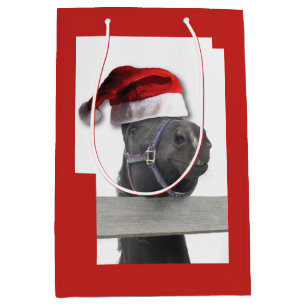 Jultomten