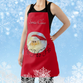 Jultomten Ansikte Ho Ho Ho Ho med Namn Red jul