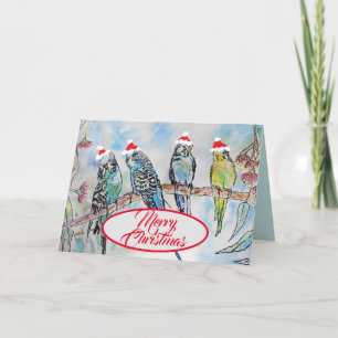 Jultomten Budgies Budgie Funny Bird Card Kort