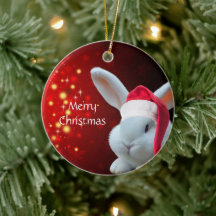 Jultomten Bunny