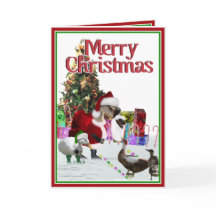 Jultomten Goose och Anka