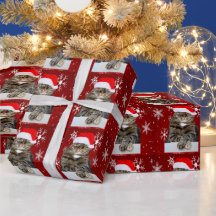 Jultomten Humbug Photo Red Snowflake