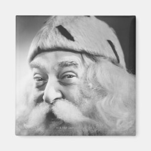 Jultomten Magnet