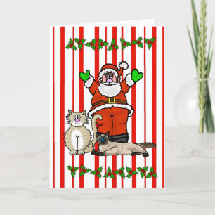 Jultomten och julkort för katter kort