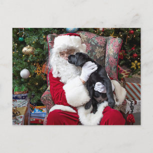 jultomten Puppy Black Labrador jul Helg Vykort