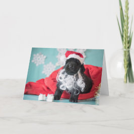Jultomten Puppy Helgkort