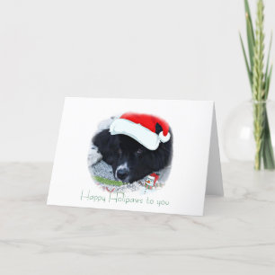 jultomten Tass Newfoundlands Helgdag Helgkort