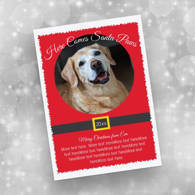 Jultomten Tassar Photo Julkort (Happy Dog on Santa Themed Photo Flat Card)