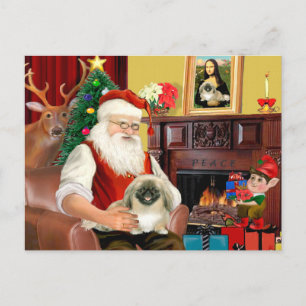 Jultomtens Pekingeserhund Helg Vykort