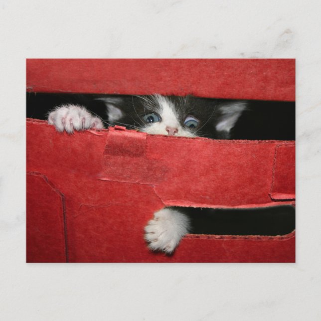 Julundflykt Helg Vykort (Framsida)