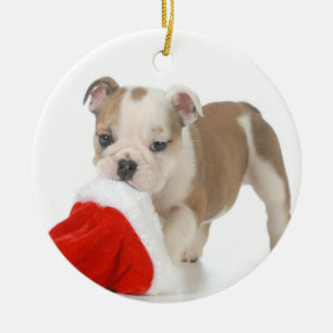 Julvalp - engelsk bulldoggvalp julgransprydnad keramik