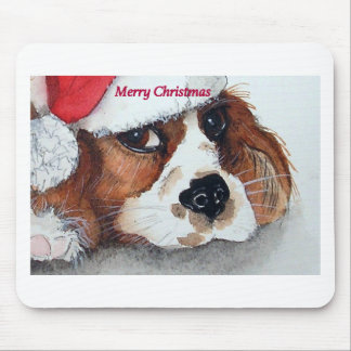 Julvalp, hund musmatta