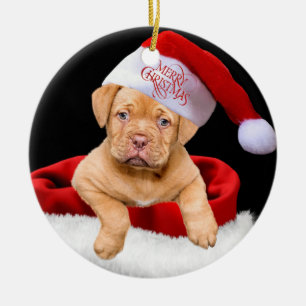 Julvalp Julgransprydnad Keramik