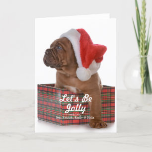 Julvalp som Santa Helgkort