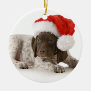 Julvalp - tysk Shorthaired pekare Julgransprydnad Keramik
