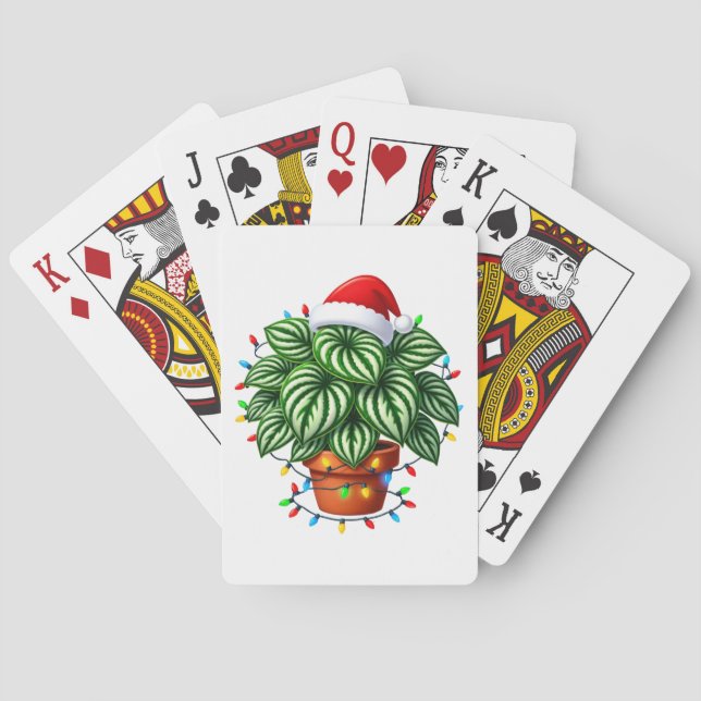  Julvattenmelon Peperomia Argyreia Högtid  Casinokort (Baksidan)