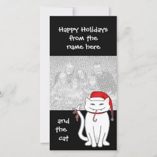 Julvit bräckt kattunge helgdag familj julkort