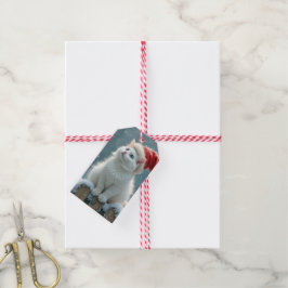 Julvit Katt Wearing a Santa Hat Presentetikett