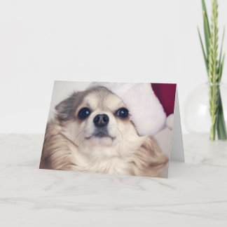 Julvovvejubel Helgkort