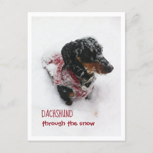 Julvykort - Dachshund genom Snö Vykort