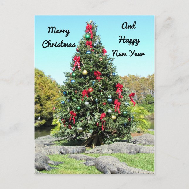 Julvykort för Alligator Vykort (Framsida)