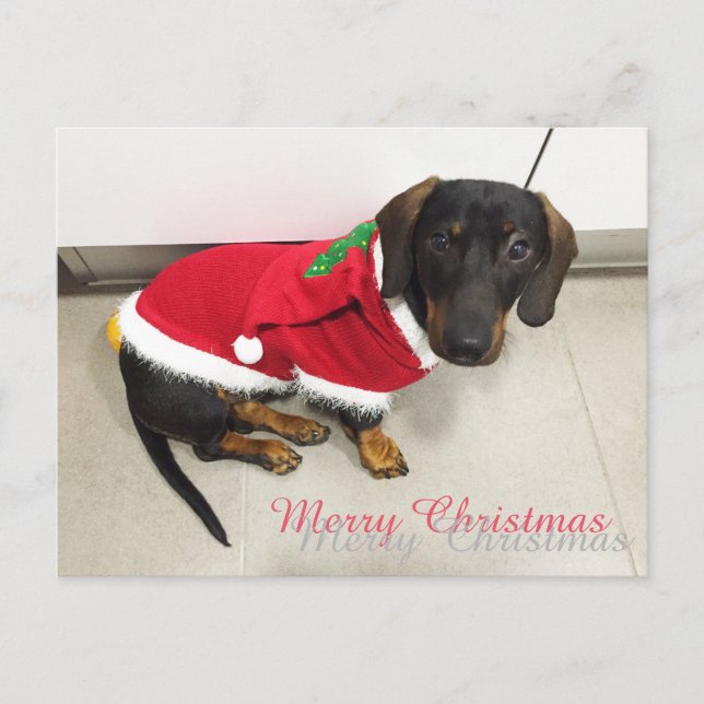 Julvykort Helg Vykort (Framsida)