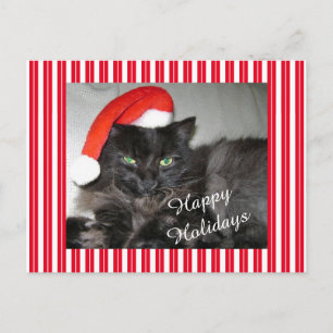 julvykort, kantat av jultomte vykort
