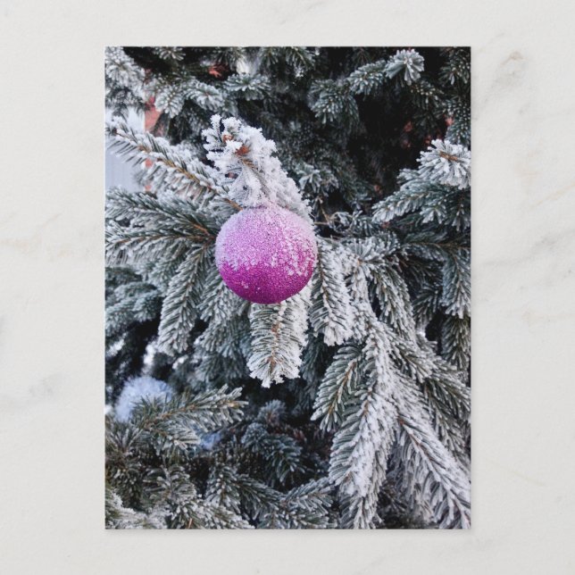 Julvykort med Julgran och leksak Vykort (Framsida)