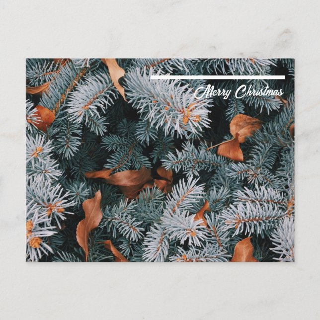 Julvykort Vykort (Framsida)