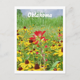 July2007 indian paintbursh, Oklahoma Vykort