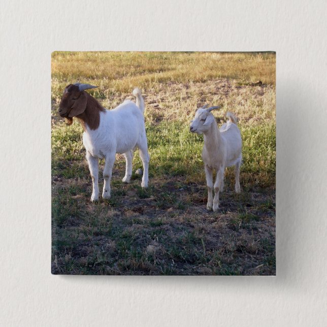 July2008_TwoGoats_v2 Knapp (Framsida)