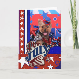 July 4th - Yorkie - Jake Kort