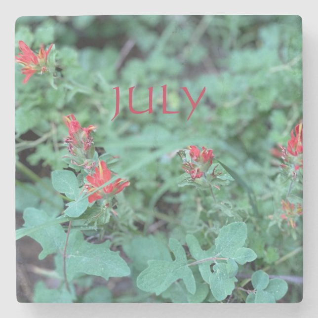 JULY STENUNDERLÄGG (Framsidan)