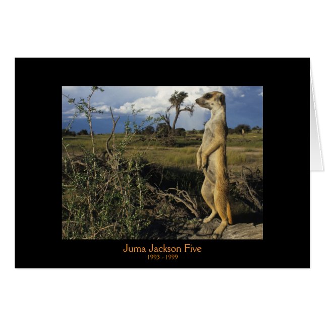 Juma - legendkort hälsningskort (Framsidan Horizontal)