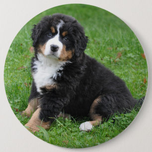 Jumbo anpassningsbar fotoplocka, kärlek din hund! knapp