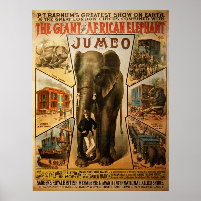 Jumbo, den stora afrikanska elefanten Poster (Framsidan)