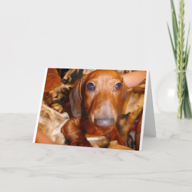 Jumbo Kort (Framsida)