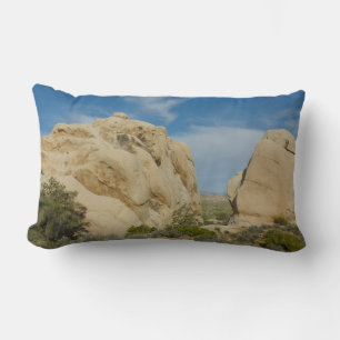 Jumbo Rocks i Joshua Tree National Park Lumbarkudde