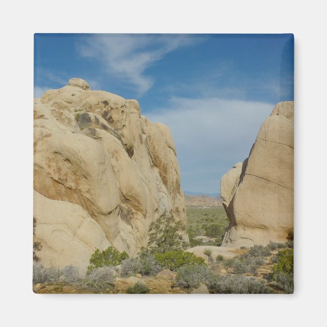 Jumbo Rocks i Joshua Tree National Park Magnet (Framsidan)