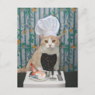 Jumbo Shrimpies! Vykort