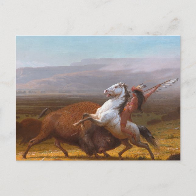 Jumbon av buffeln vykort (Framsida)