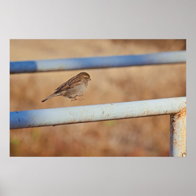 Jump Poster (Framsidan)