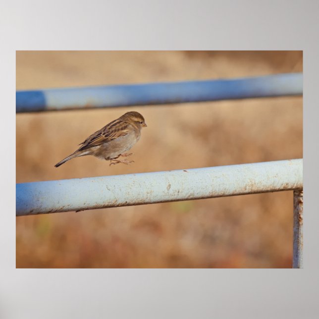 Jump Poster (Framsidan)