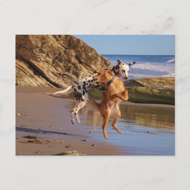 Jumpande med glädje! vykort (Framsida)