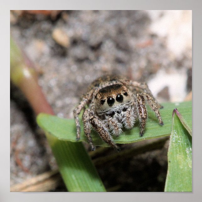 Jumper Poster (Framsidan)