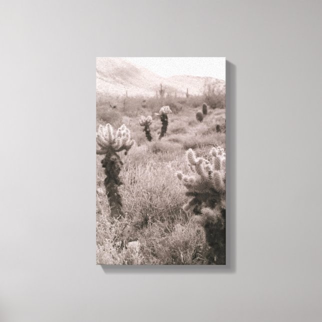 Jumping Cholla Cactus Desert B&W-fotoutskrifter Canvastryck (Framsida)