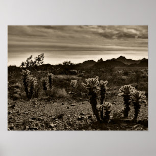 Jumping Cholla Cactus Poster